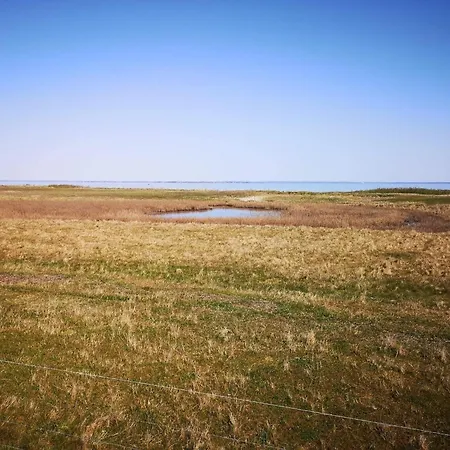 4 Person In Aeroskobing-by Traum * Ærøskøbing