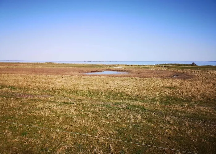4 Person In Aeroskobing-by Traum * Ærøskøbing